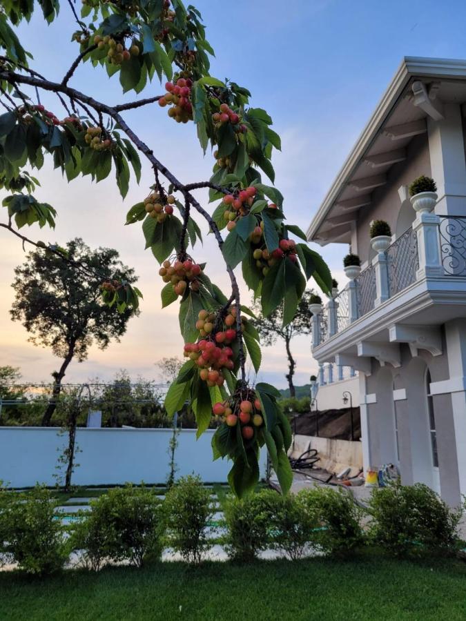 Tenuta Santo Stefano Azienda Agrituristica Santo Stefano del Sole المظهر الخارجي الصورة